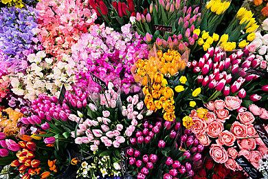 暗黑破坏神4豪华版和终极版区别是什么？豪华版和终极版哪个好？