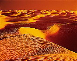 PS发布会：SE发布4v4射击游戏《泡沫明星》